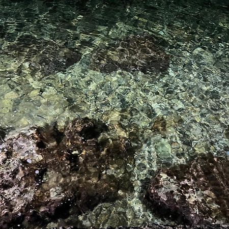 Afissos-Dream 3Studios 외부 사진